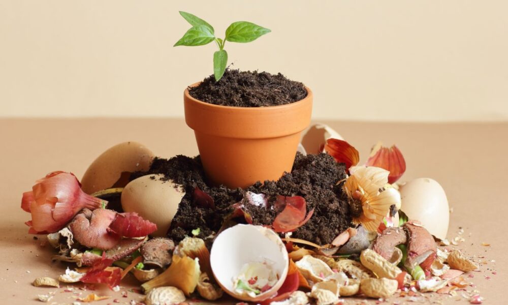 fertilizzanti organici compost