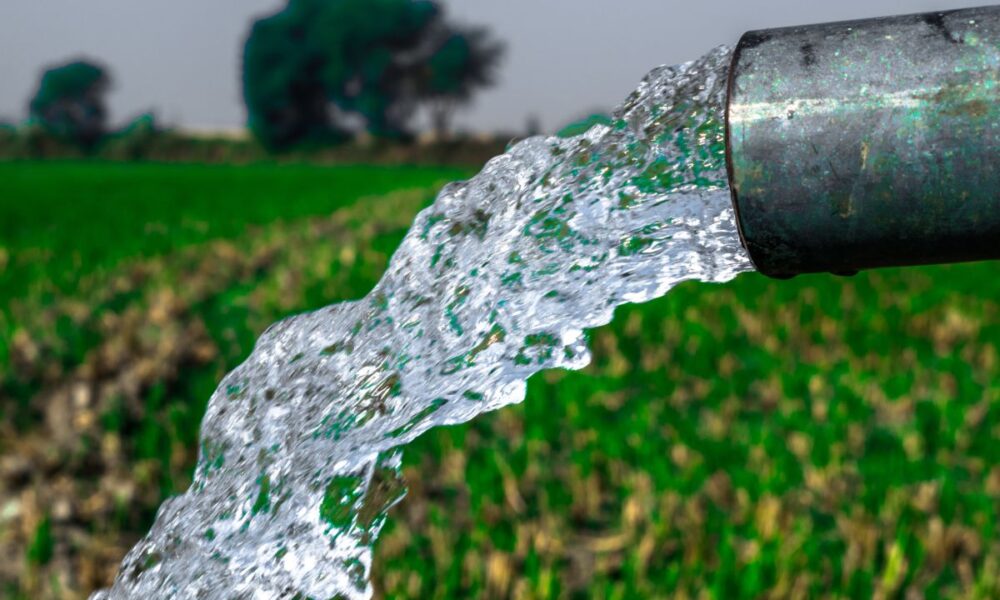 gestione dell'acqua, agricoltura sostenibile