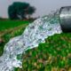 gestione dell'acqua, agricoltura sostenibile