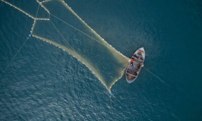 peschereccio, rete, pesca intensiva