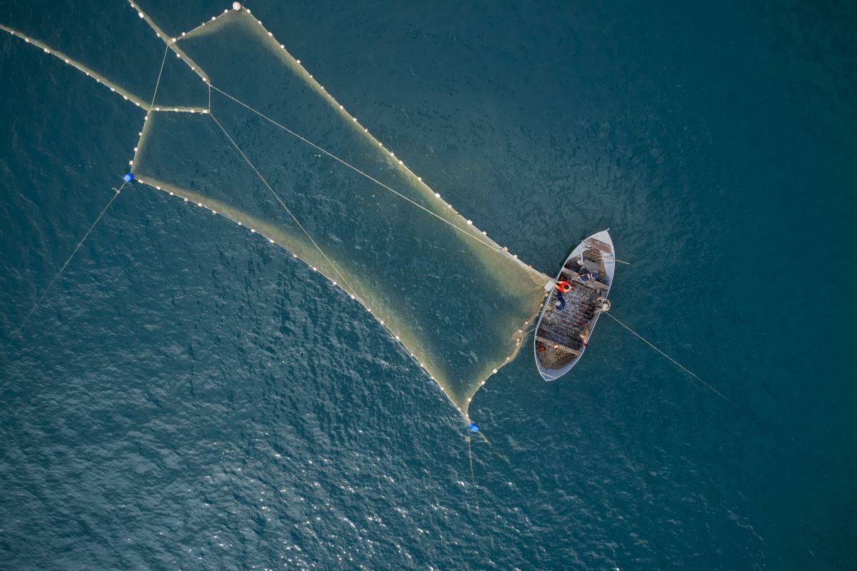 La pesca sostenibile: conservare le risorse ittiche degli oceani | Ecoblog