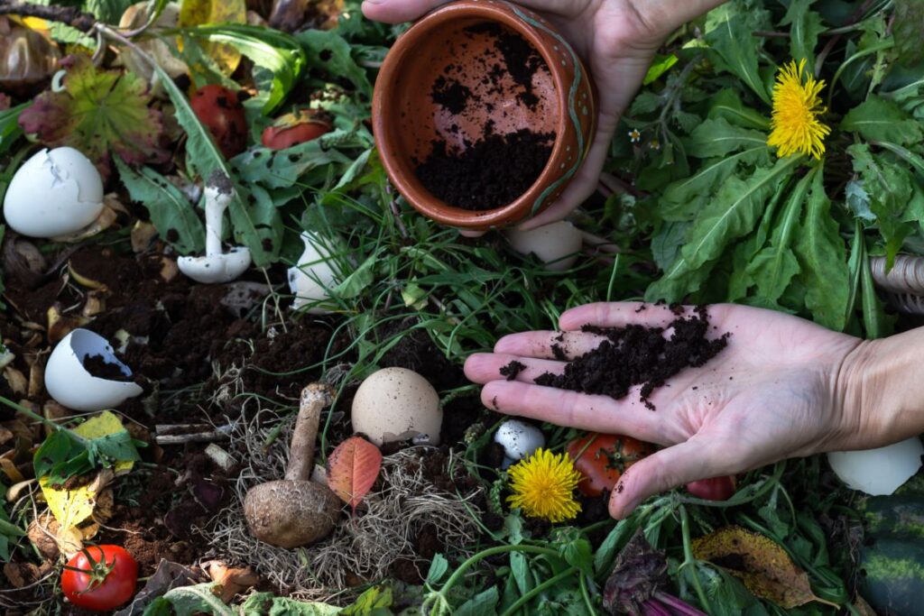 Fertilizzante naturale 