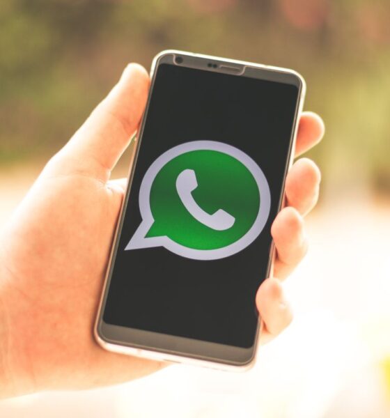 Mano che tiene in mano uno smartphone con aperto whatsapp