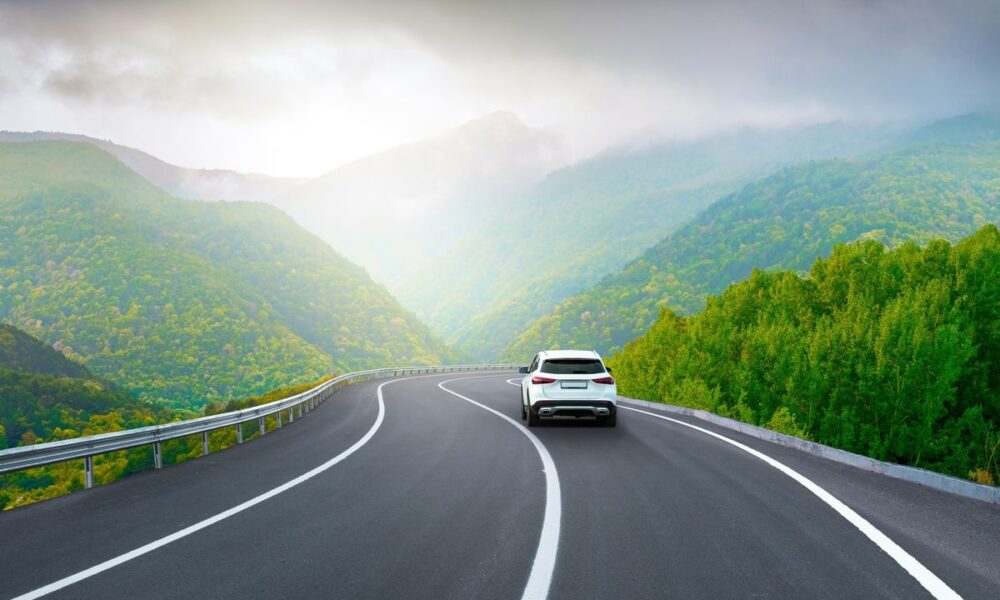 Macchina che percorre una strada nel verde